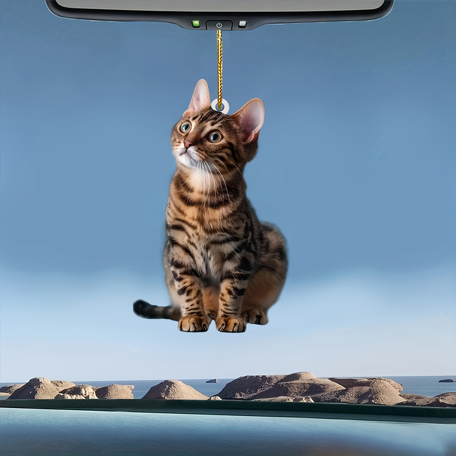 3 Buah Liontin Akrilik Kucing  - Car Accessories Walmart ulasan dan harga